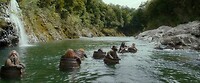 pelorus