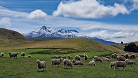 Mount Ruapehu