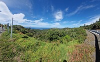 Coromandel