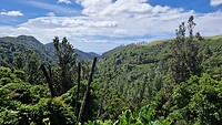 Coromandel