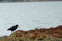 Lonely Bay