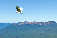 Jamison Valley