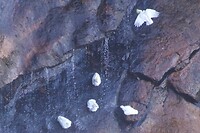 Katoomba Falls