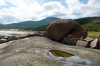 Squeeky Beach