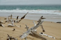 Port Philip Bay