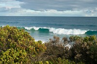 Surfcoast