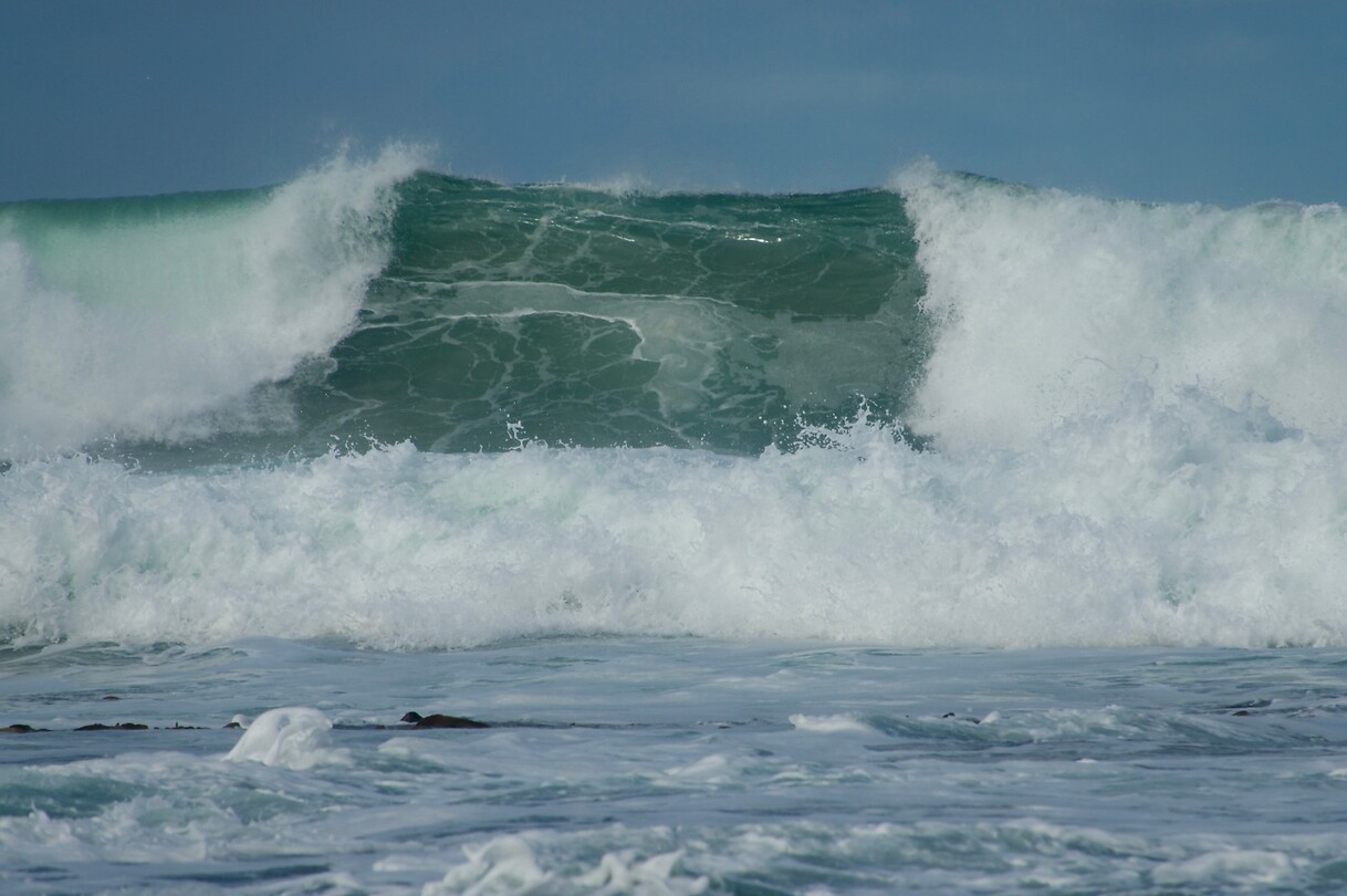 Shelly Beach