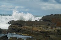 Shelly Beach