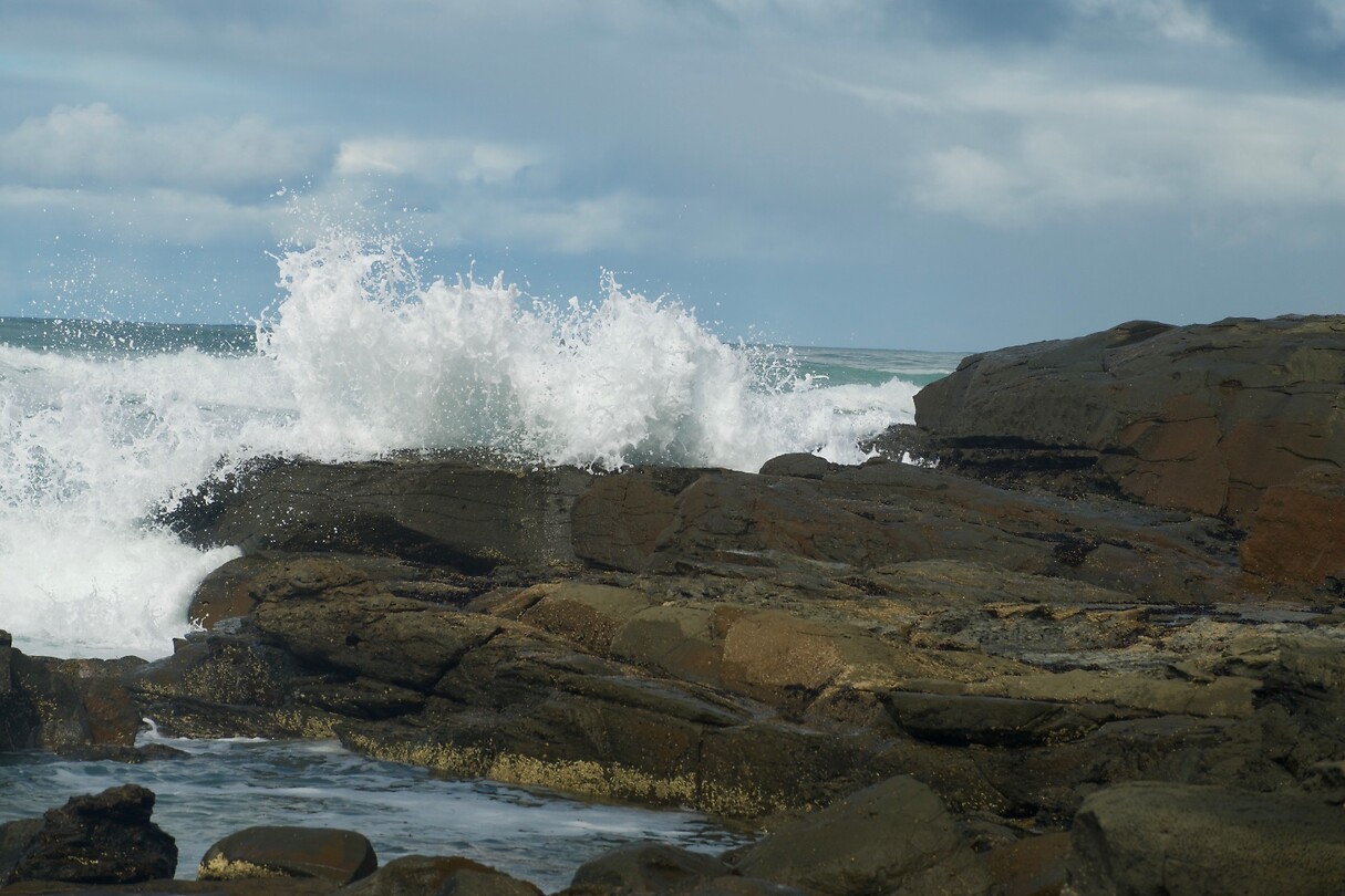 Shelly Beach