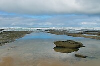 Shelly Beach