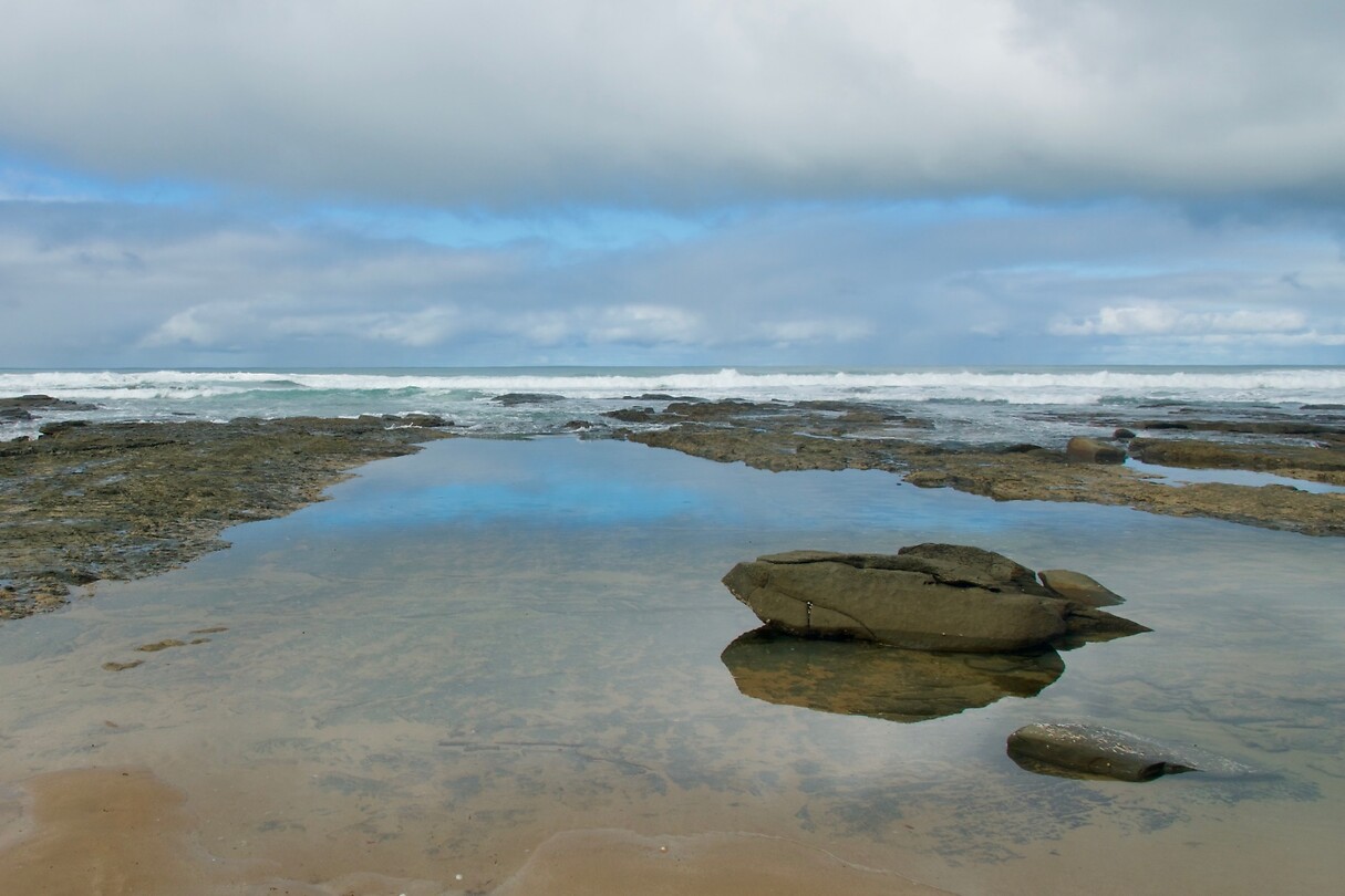 Shelly Beach