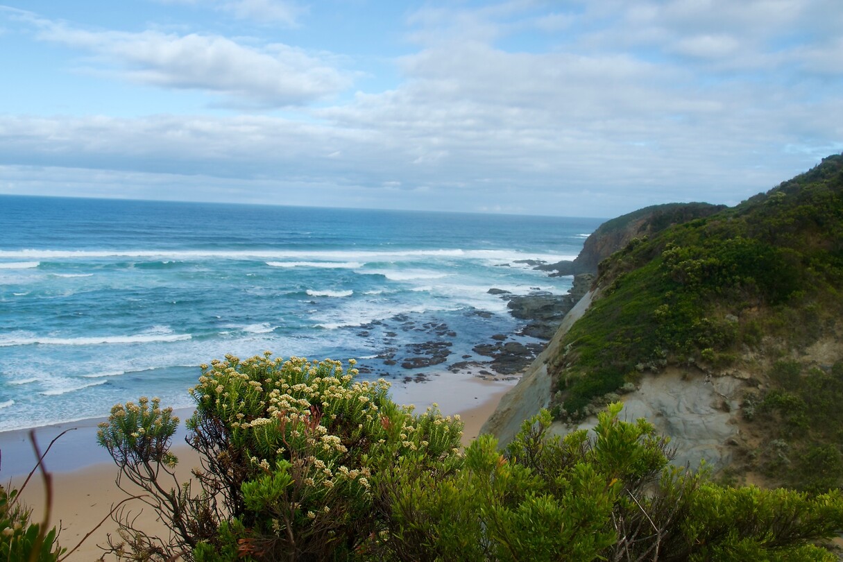 Castle Cove Lookout