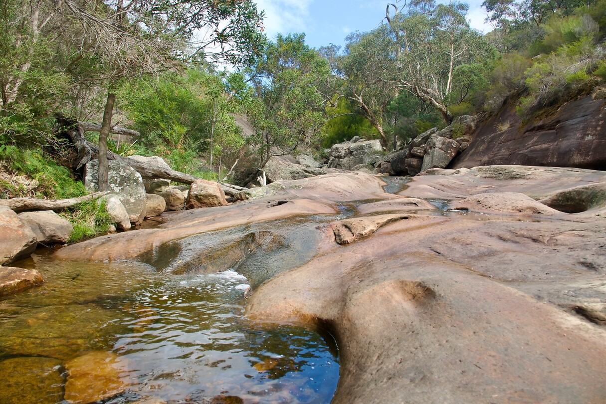 Venus Baths