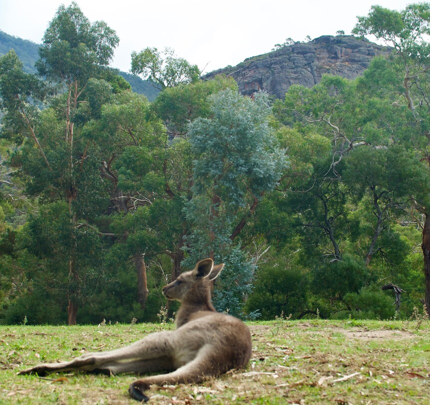 Grampians