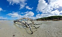 Whitehaven Beach