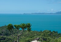 Florence Bay