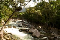 Mossman Gorge