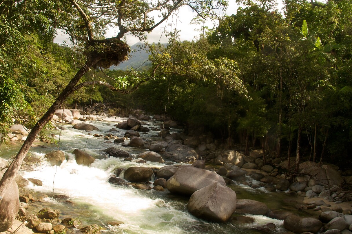 Mossman Gorge