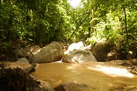 Mossman Gorge