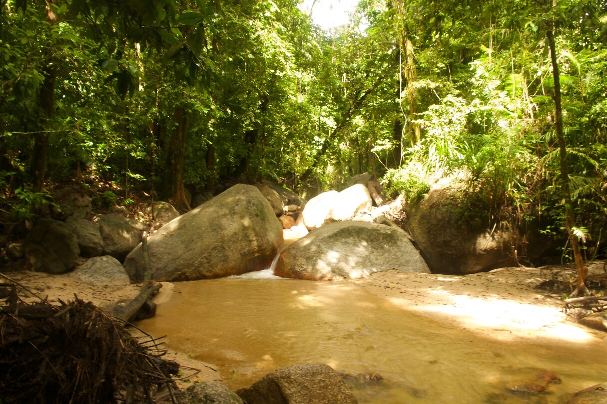 Mossman Gorge