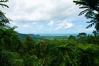 Alexandra Lookout