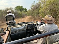 Karongwe safari