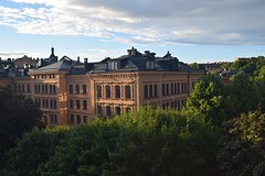 uitzicht vanuit keukenraam
