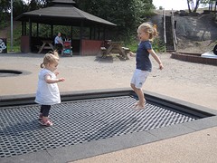 DSCN4312