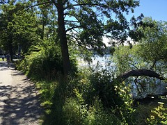 hardlopen op Södermalm langs het water