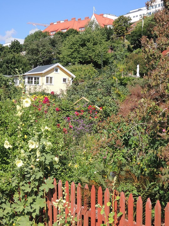 volkstuintjes op Södermalm
