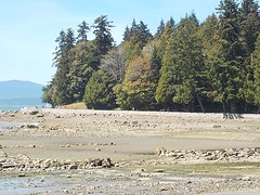 Stanley Park
