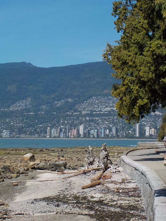 Stanley Park