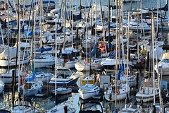 jachthaven Heather Civic Marina