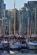 jachthaven