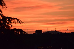 DSC_0299