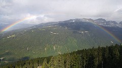 regenboog