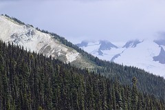DSC_0419