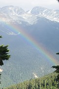 regenboog