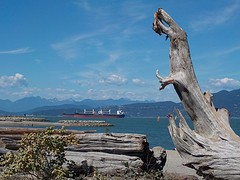 Jericho beach