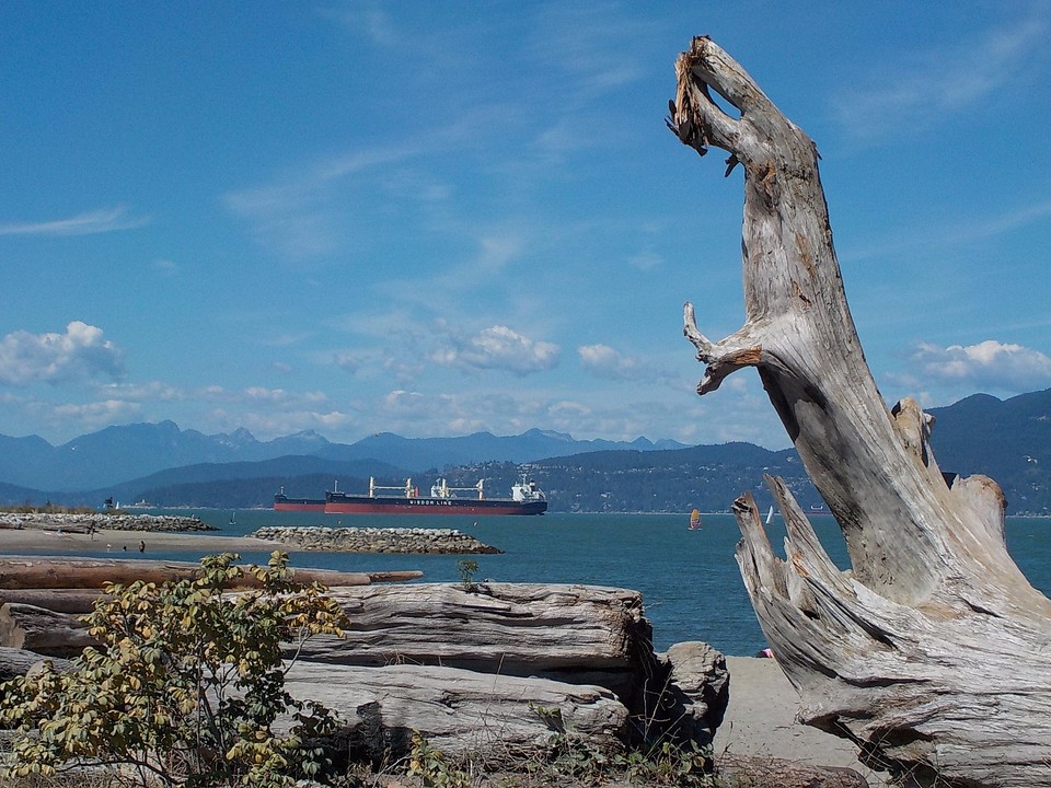 Jericho beach