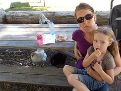 Maplewood Farm (best spannend, die kippen onder tafel)