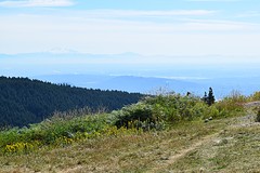 DSC_0486