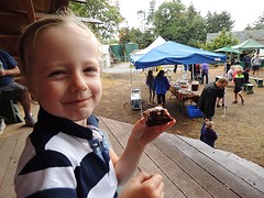 heerlijke brownie