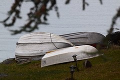 DSC_0574