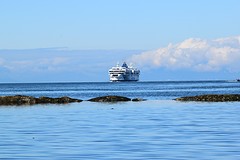 DSC_0681