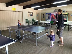 tafeltennissen