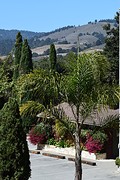 Carmel Valley