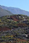 Big Sur