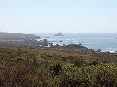 DSCN4958