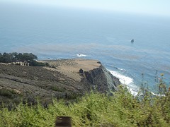 DSCN4971
